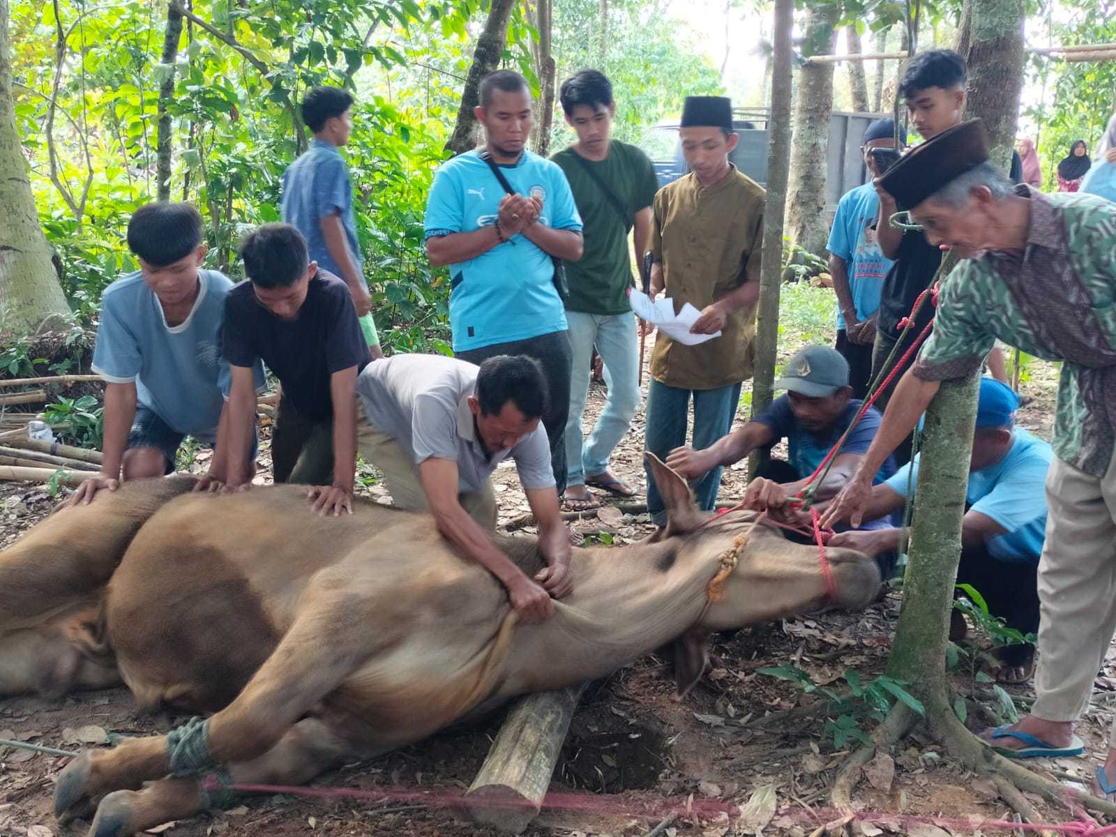 WhatsApp Image 2025-06-07 at 12.47.10 (5)