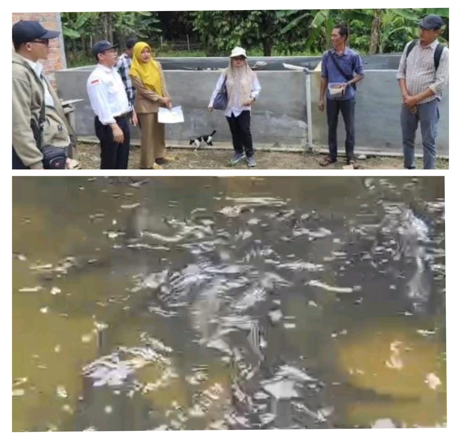 WhatsApp Image 2025-09-29 at 14.27.47