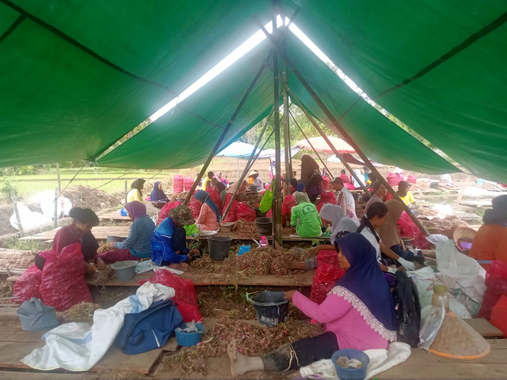 WhatsApp Image 2026-01-03 at 15.02.15