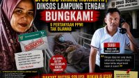 IMG-20260629-WA0013