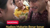 WhatsApp Image 2026-06-11 at 15.34.28