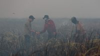 IMG-20260823-WA0081