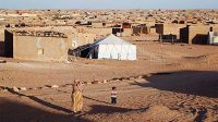 IMG-20260926-WA0014(1)